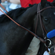 Image for article titled JEZEBEL EXCLUSIVE: Kentucky Derby Winner Medina Spirit Responds to Doping Reports